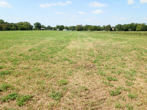 Property photo 1 - 63.5 +/- Acres Offered in 3 Tracts - Real Estate Auction